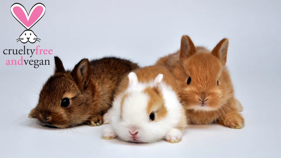Bunnies symbols of vegan cosmetics